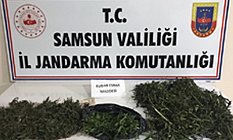 Samsun ve İlçelerinde Zehir Tacirlerine Operasyon