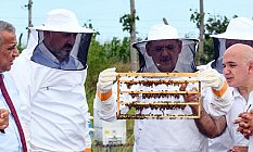 Arıcılık ekonomisine Büyükşehir Desteği