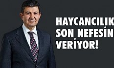 Birol Aydemir: Hayvancılık son nefesini veriyor
