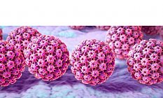 HPV Tedavisi Mümkün Mü?