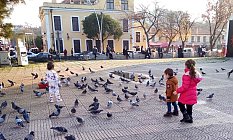BİR BARDAK YEM, BİNLECE ÖZGÜRLÜK !