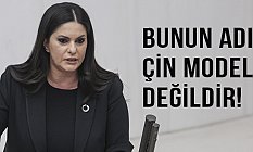 Bunun Adı 'Çin Modeli' Değildir
