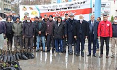 Büyükşehir 7 Bin Ceviz ve Badem Fidanı Dağıttı