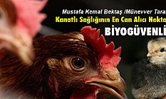 Kanatlı Sağlığının En Can Alıcı Noktası: Biyogüvenlik