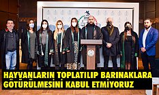 Samsun Barosu'ndan 'Hayvan Hakları' Açıklaması