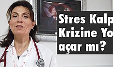 Uzm. Dr. Canan Uğur: Stres Kalp Krizine Yol açar mı?