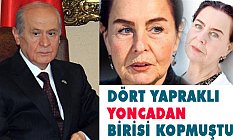 Devlet Bahçeli: Dört Yapraklı Yoncadan Birisi Kopmuştur