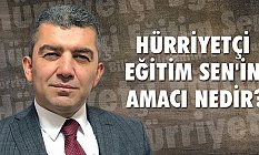 Hürriyetçi Eğitim Sen'in Amacı Nedir?