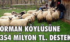 Orman Köylüsüne 354 milyon TL destek