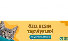 27 Kuryemama Online Satış Mağazasında Konserve yaş mama, Yaşlı Yetişkin Kediler için