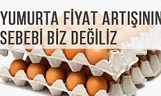 İbrahim AFYON: Yumurta Fiyat artışının sebebi biz değiliz
