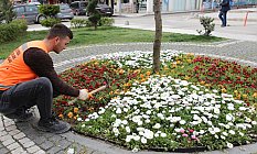 FATSA BELEDİYESİNDEN BAHAR HAZIRLIĞI