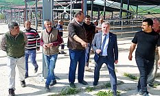 Havza Kapalı Canlı Hayvan Pazarı bayram sonu açılıyor