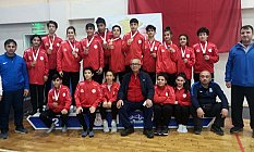 MANİSA'NIN YILDIZLARI TÜRKİYE FİNALLERİNDE