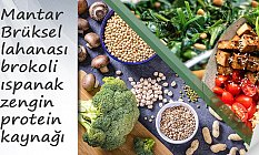 Mantar, Brüksel lahanası, brokoli ve ıspanak zengin protein kaynağı!