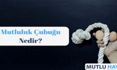 Mutluluk Çubuğu Nedir ve Nasıl Kullanılır?