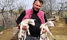 Yem Pahalandı; Üreticiler Zor Durumda