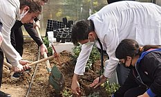 Ata Tohumları Yapay Zeka ile Yetiştirilecek