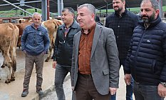 Havza Kapalı Canlı Hayvan Pazarı hizmet vermeye başladı