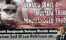 Tekin, Mesele Darağacında Devleşen Mustafa olmak