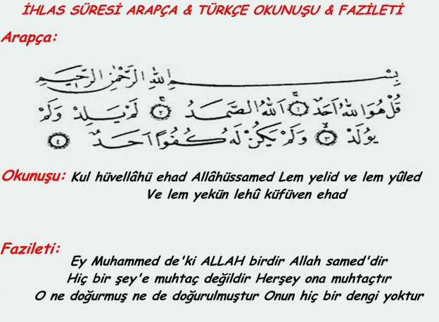 tjk oyna