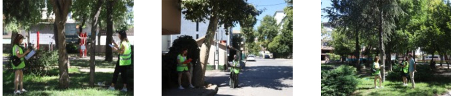 kartal belediyesi yeşil alan çalışması